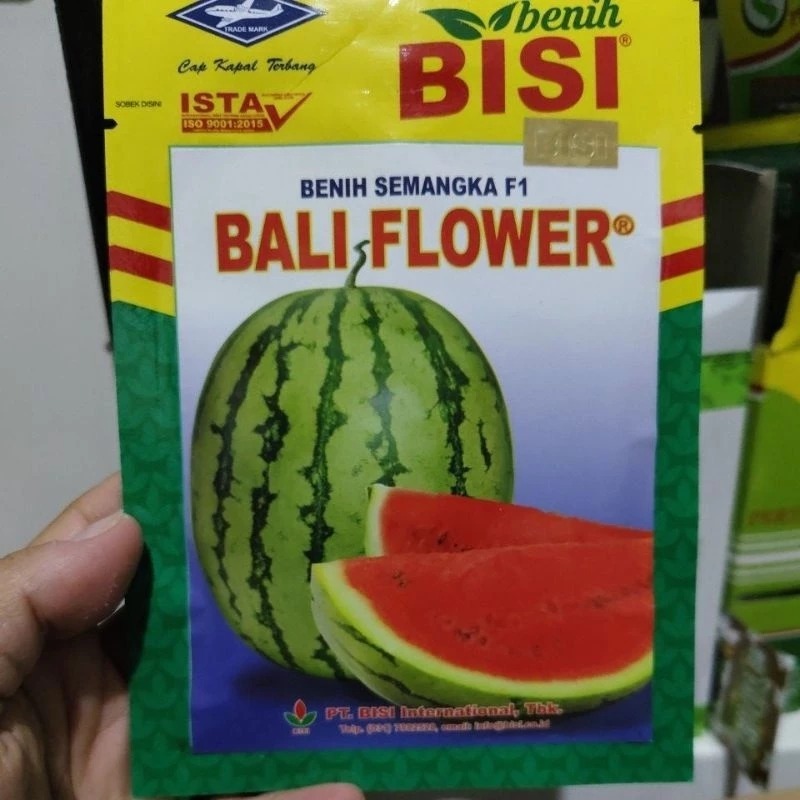 Benih semangka BALI FLOWER 20 gram semangka hibrida loreng lonjong merah BALI FLOWER 20 gr dari bisi