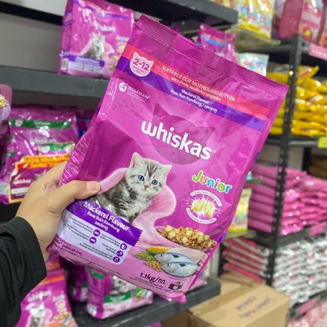 Makanan Kucing Kering Whiskas Junior Mackerel Flavor 1.1kg & 450 gram dengan DHA & Kolostrum
