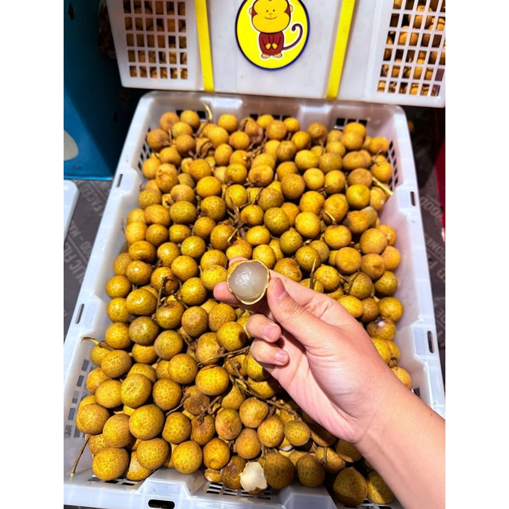 kelengkeng 1 keranjang 6kg
