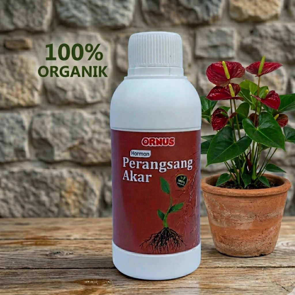 ORNUS Nutrisi Akar Tanaman Hias