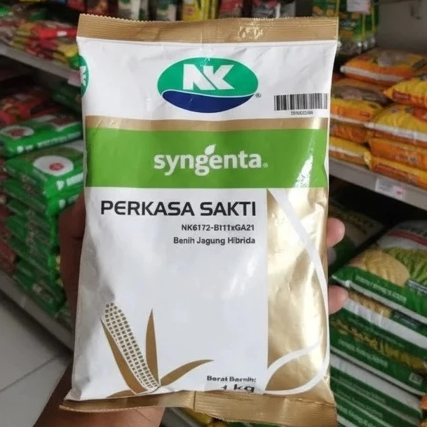 bibit benih jagung nk syngenta perkasa sakti hibrida