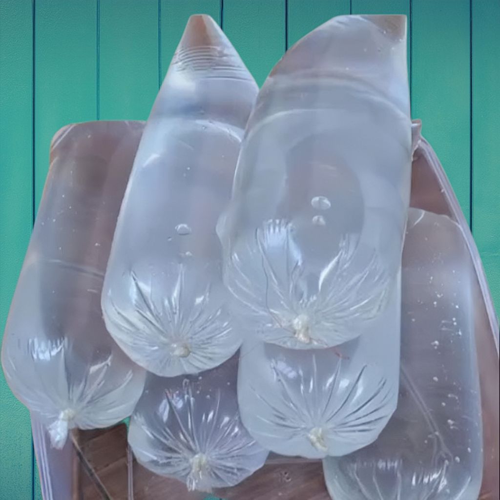 ECER 1 Biji Plastik PE Tahan Panas Plastik Es Batu Ukuran 13x30 Cod Bayar Di Tempat