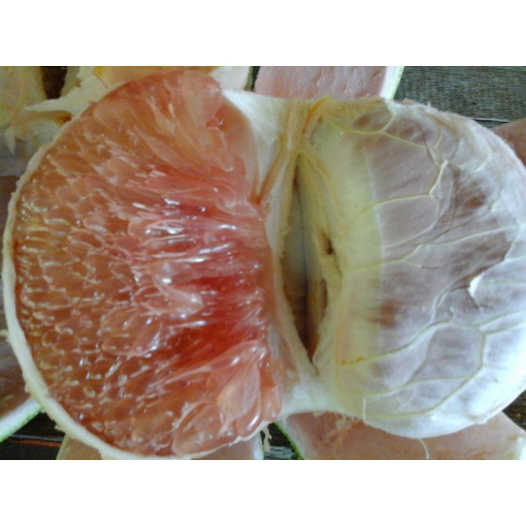 Jeruk Pamelo Madu Manis Asli Dari Pati