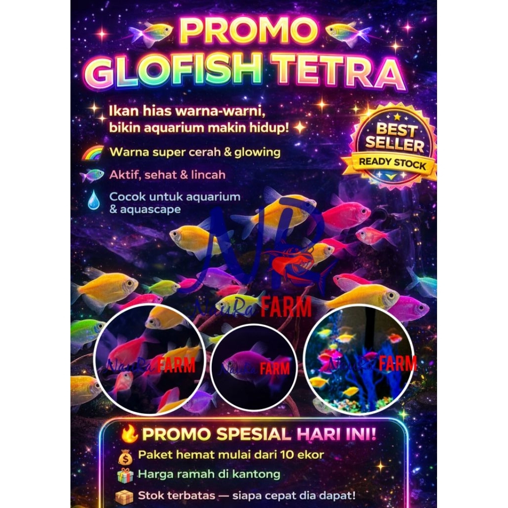 Glowfish Fluorescent Tetra warna warni - Ikan Glofish Aquarium Aquascape