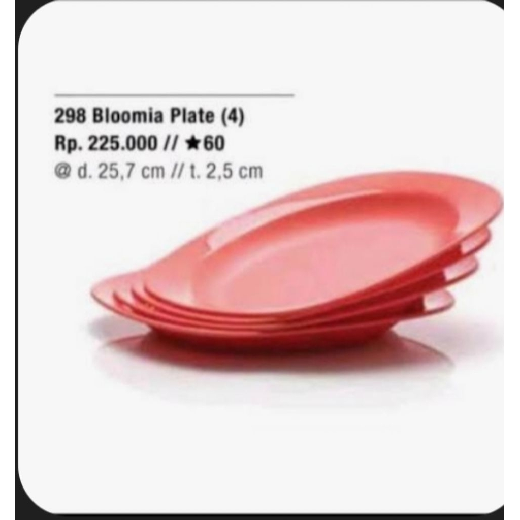 piring Tupperware, Tupperware plate