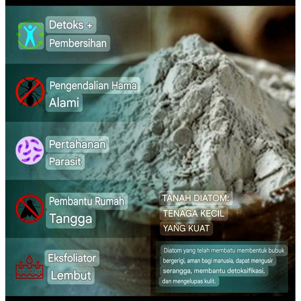 Diatomaceous earth
