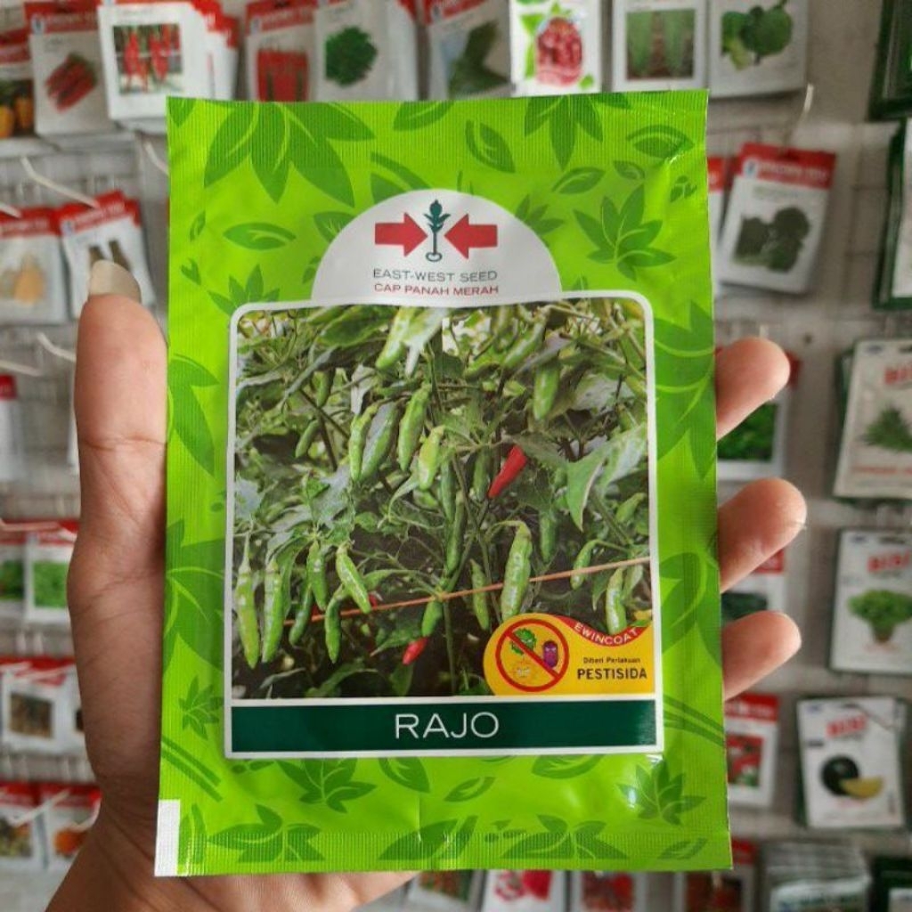 BENIH CABE RAWIT RAJO CAP PANAH MERAH