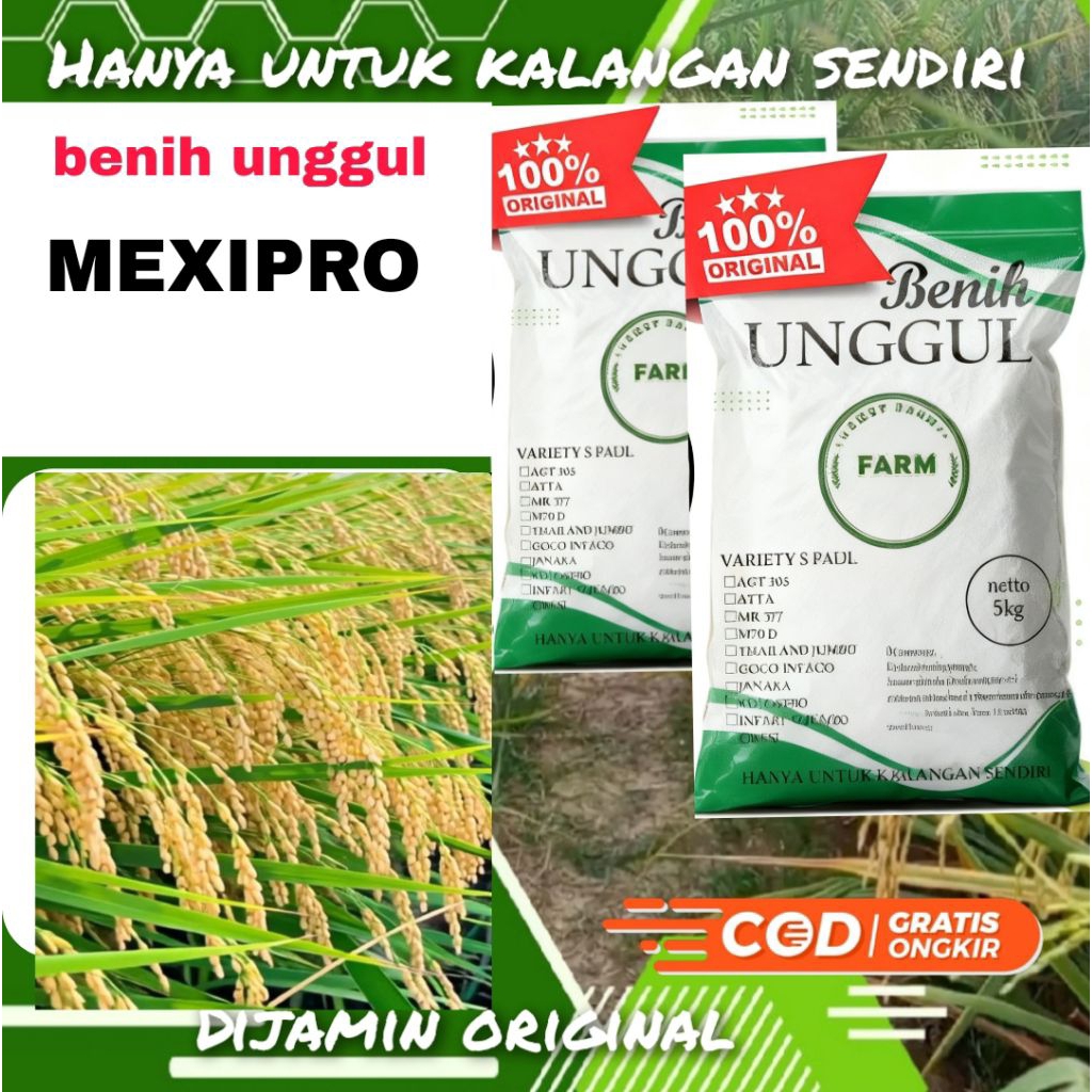 benih unggul padi Inpari 32 mexipro 1kg.