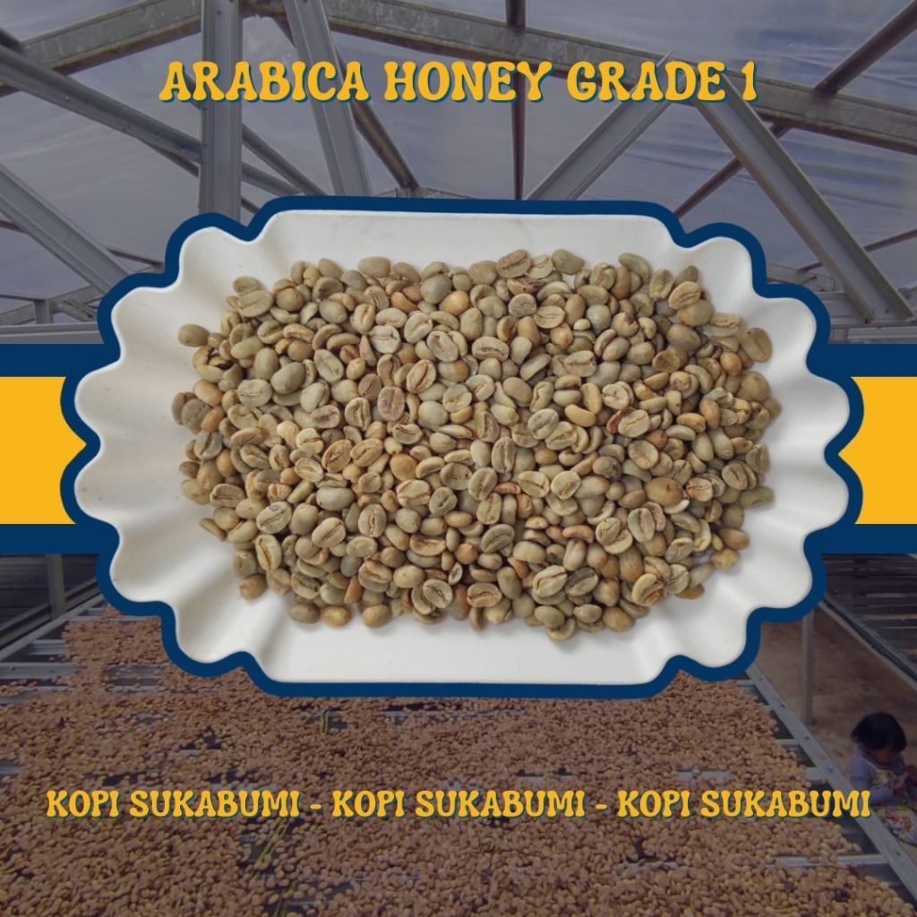Biji Kopi Green Bean Arabica Honey Grade 1