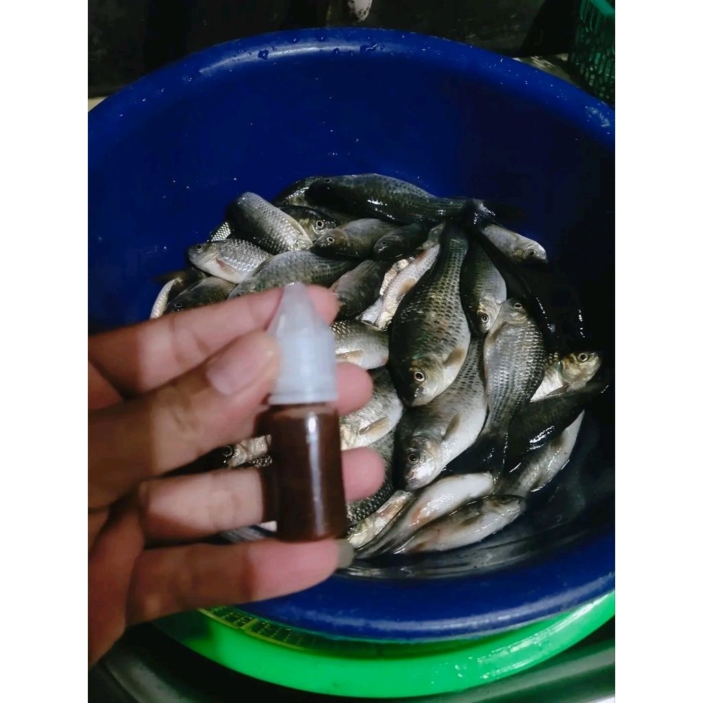 ESSEN OPLOSAN JUARA ASAM JAWA BUAT IKAN NILEM 15ML