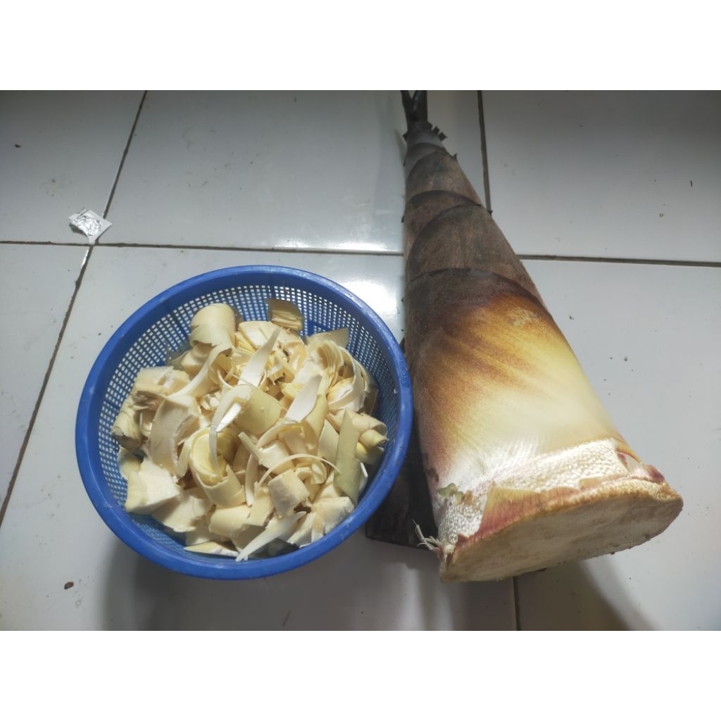 rebung bambu petung 2 kg