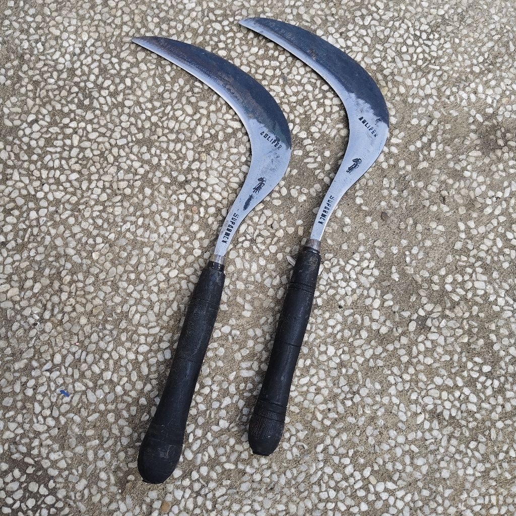 arit/sabit rumput baja per asli pulsepuhan siap pakai