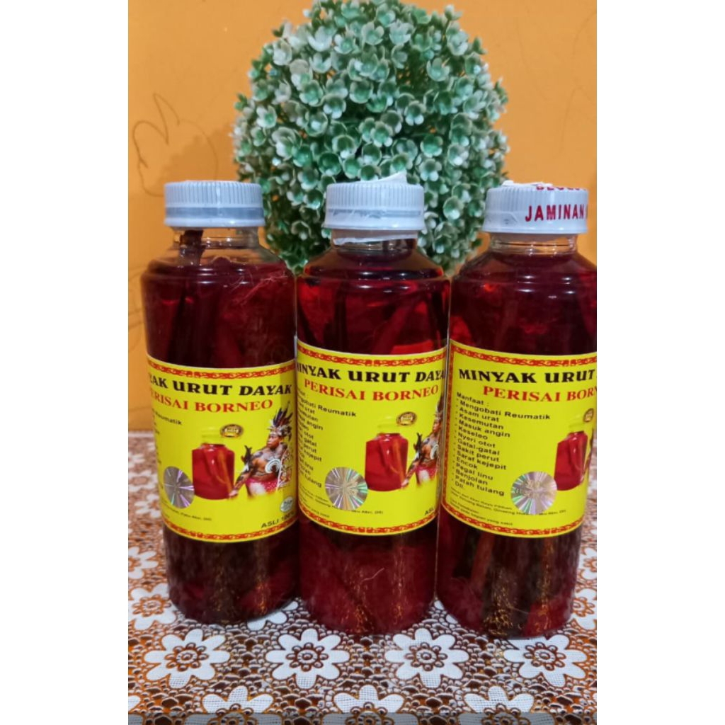 Minyak Urut Dayak Perisai Borneo 250ml - Herbal, Aman, Efektif
