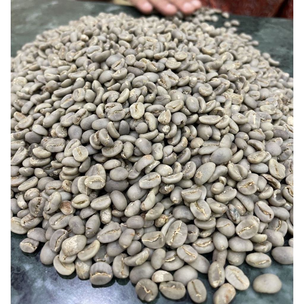 Green Bean Arabika Fullwash