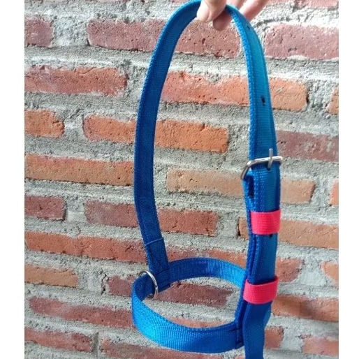 Headhalter sapi/brangus sapi/head halter