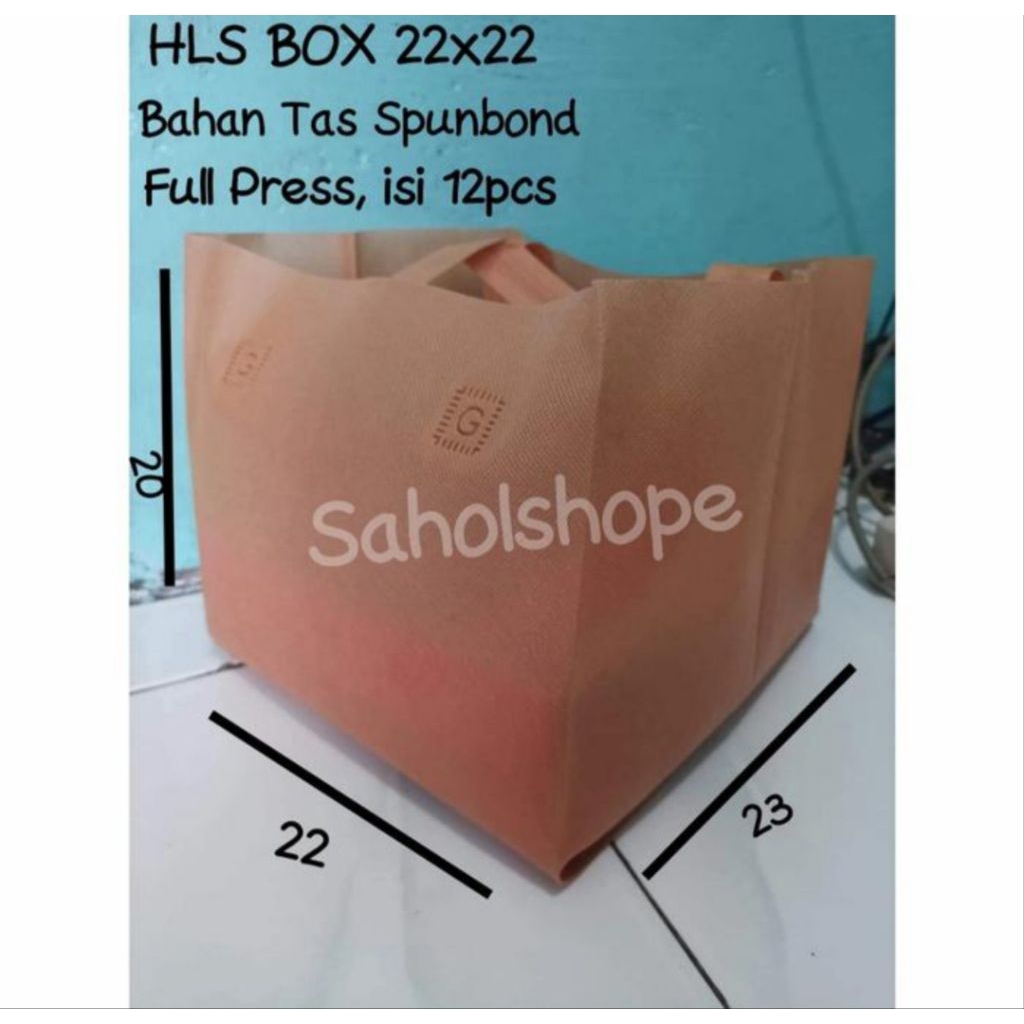 HLS Box Nasi 22x22