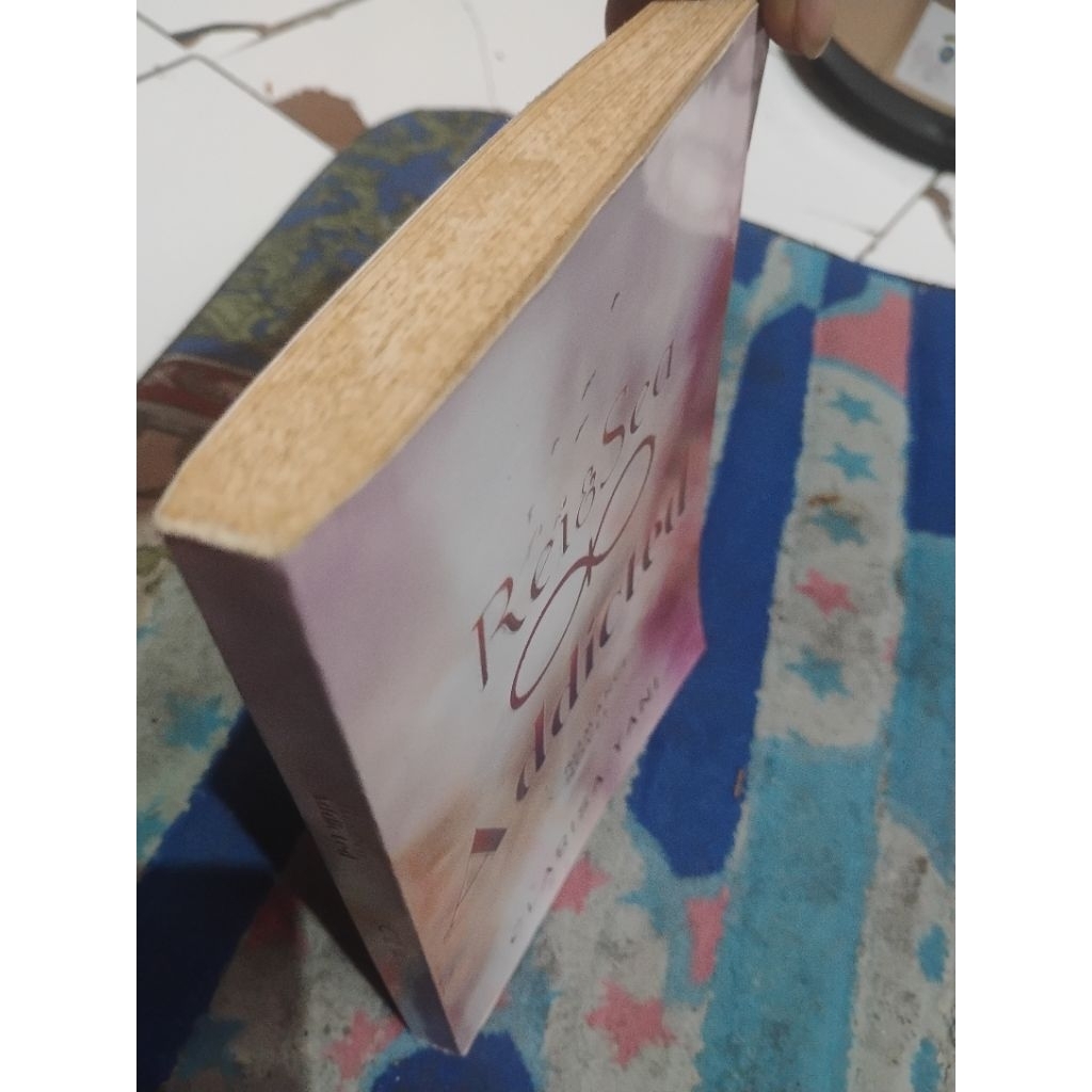 buku novel romansa bekas original Rei & Sea: Addicted karya Clarisa Yani