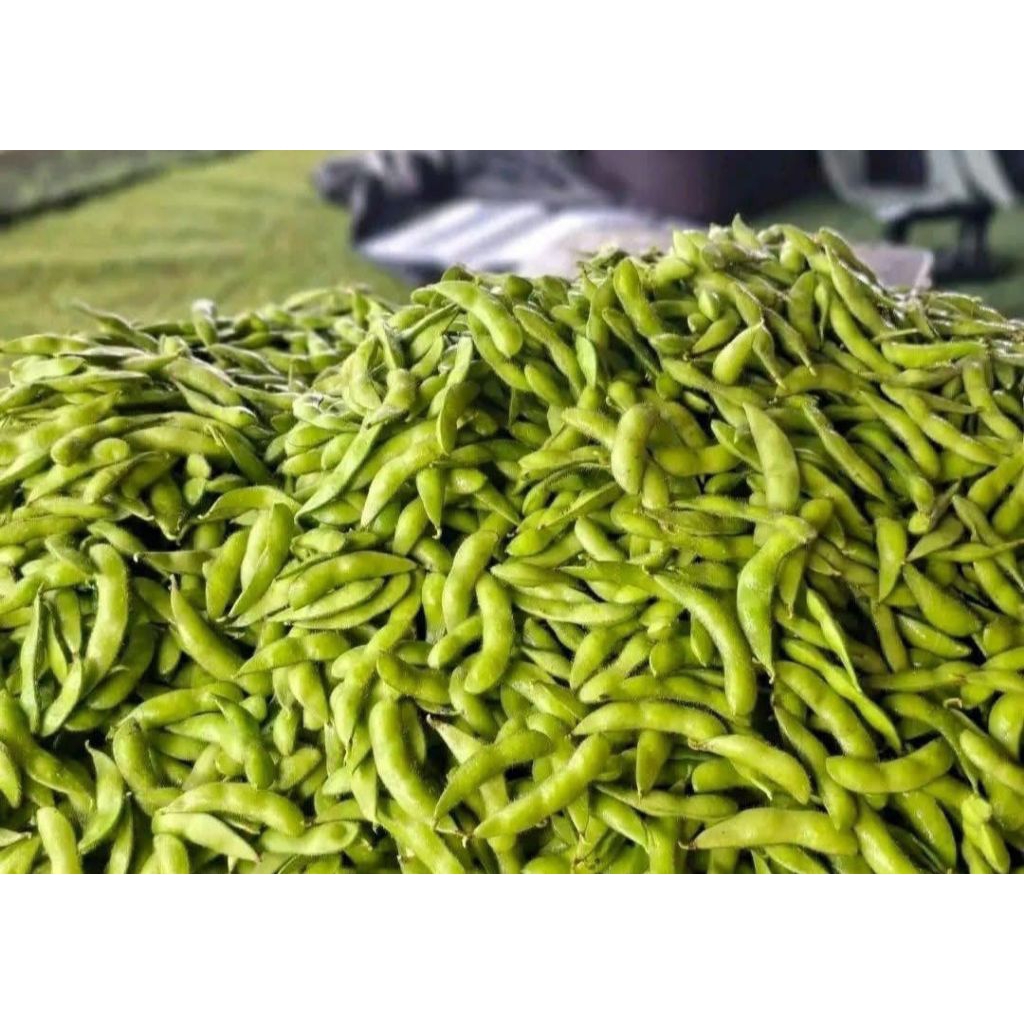 edamame mentah fresh 1kg(Surabaya)