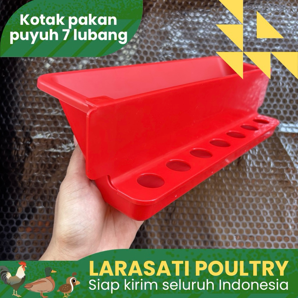 Tempat pakan puyuh 7 lubang | kotak pakan burung puyuh | tempat pakan puyuh