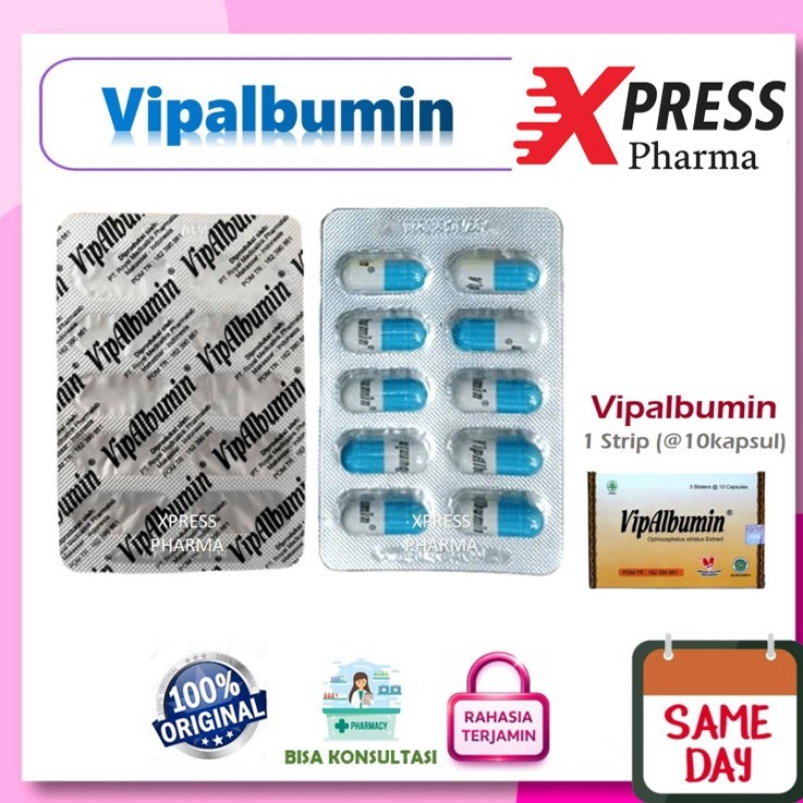 XPRESS  STRIP Vipalbumin Ekstrak Ikan gabus Kembung Vip Albumin Vitalbumin Vipabumin 10 Kapsul Obat 