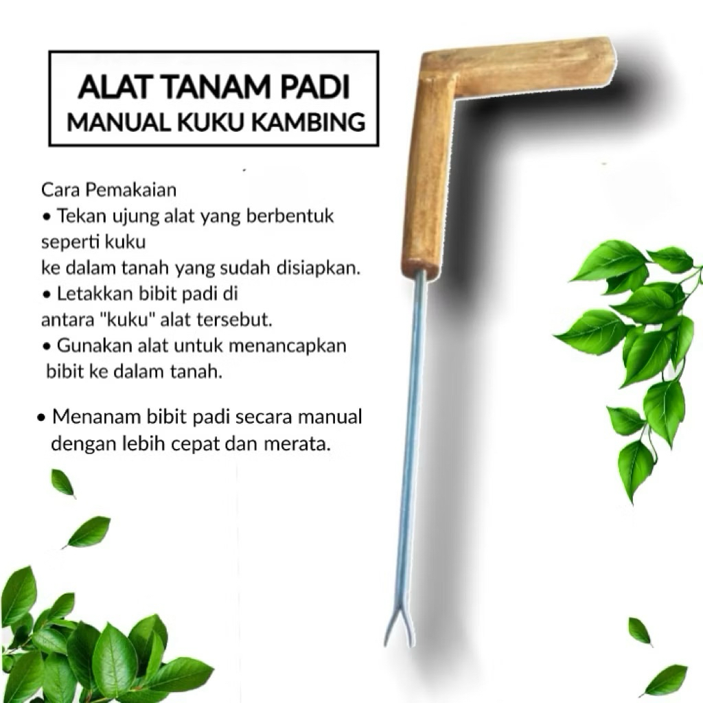 Alat Tanam Padi Manual Kuku Kambing / Tanam Padi / Alat Tanam Padi Praktis / Alat Tanam Padi Tradisi