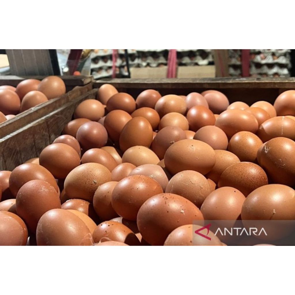 Telur Ayam Negri 1Kg