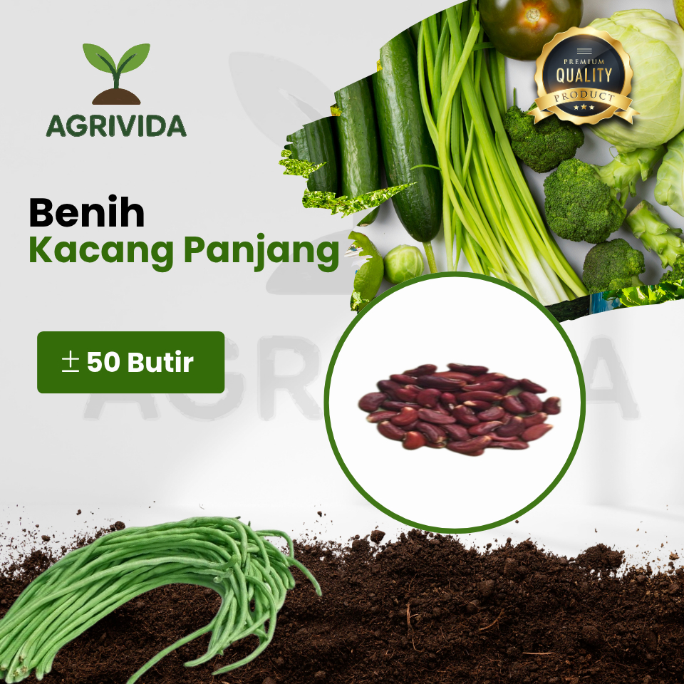 Benih Kacang Panjang 50 Butir Benih tanaman sayuran kacang panjang