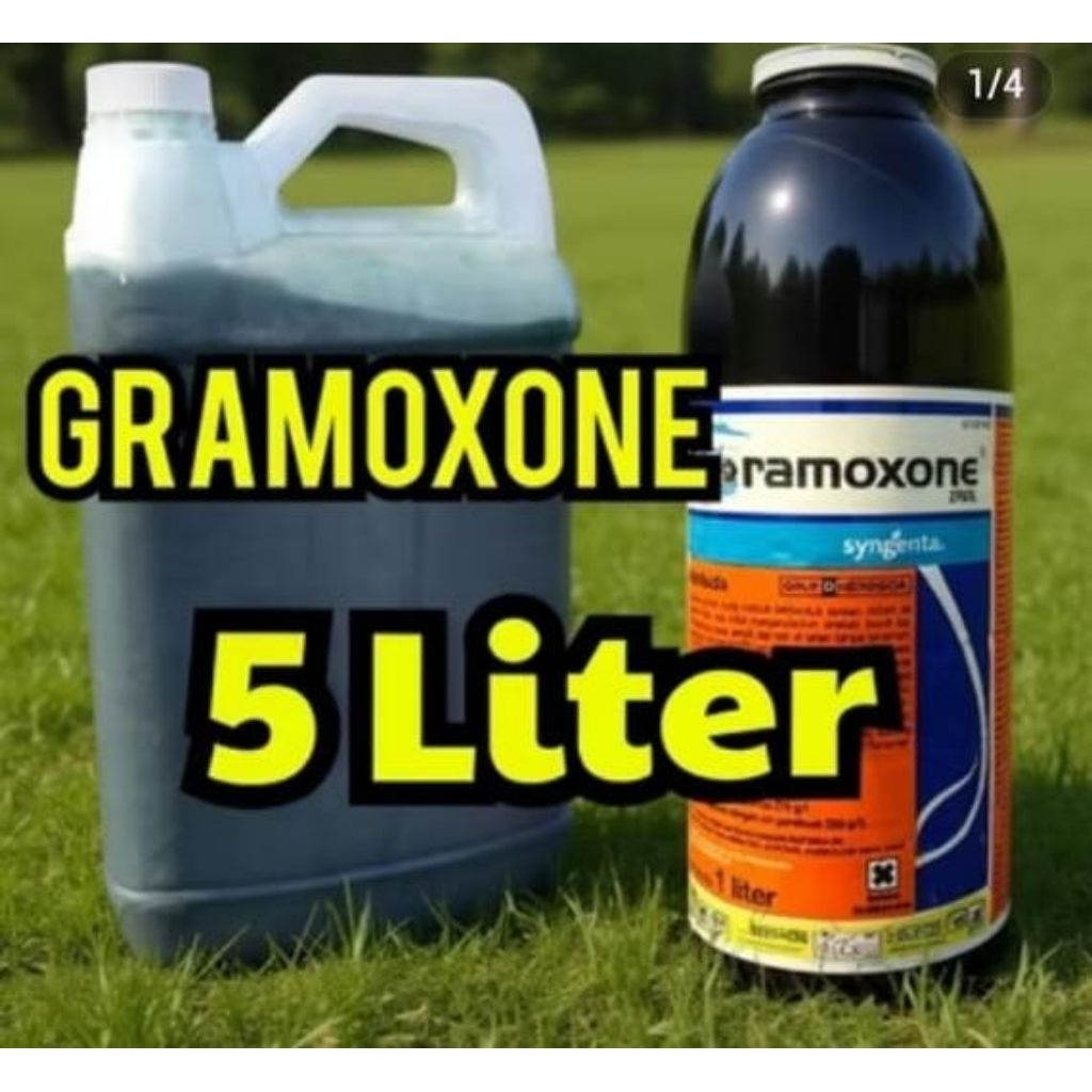 obat rumput jenis gramoxone.5 LITER.sangat ampuh membasmi rumput sampai keakar..kemasan jerigen( 5li