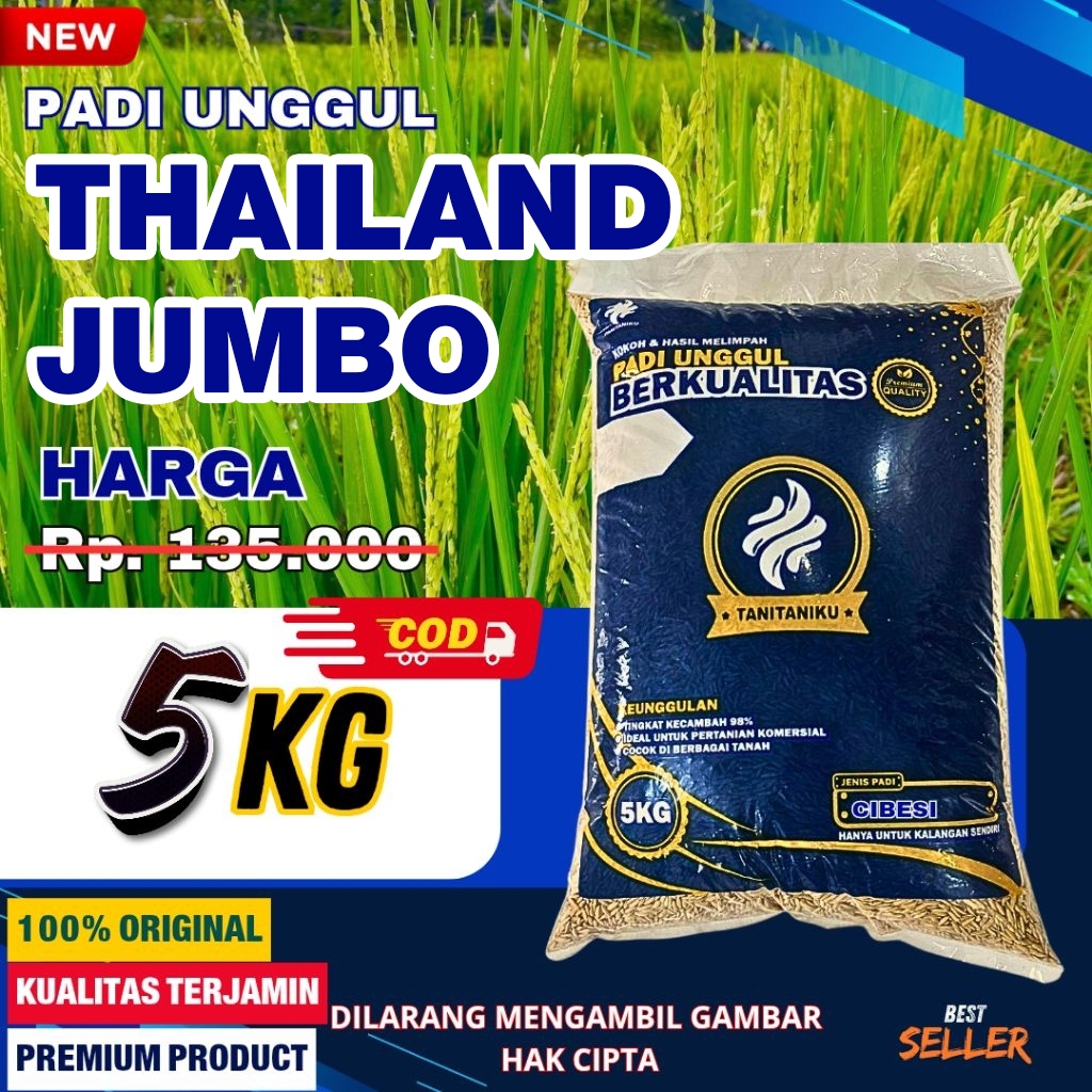 Benih Padi bibit padi Thailand Jumbo kualitas original  kemasan  5 KG