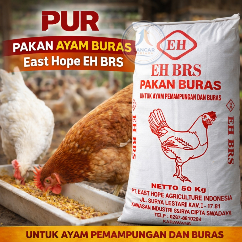 Pur Pakan Ayam Buras Isi 3 Pak Grower East Hope P90  Kemasan 1 Kilo