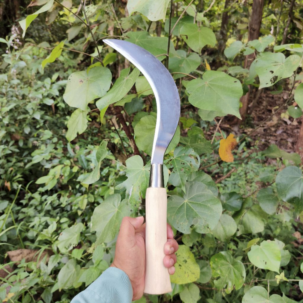 arit ramban super baja  asli madura
