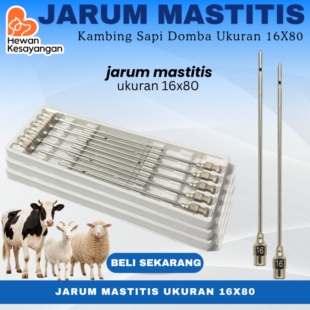 Jarum Suntik Tumpul Reusable Untuk Pengobatan Suntik Mastitis Sapi Kambing Domba 16x80
