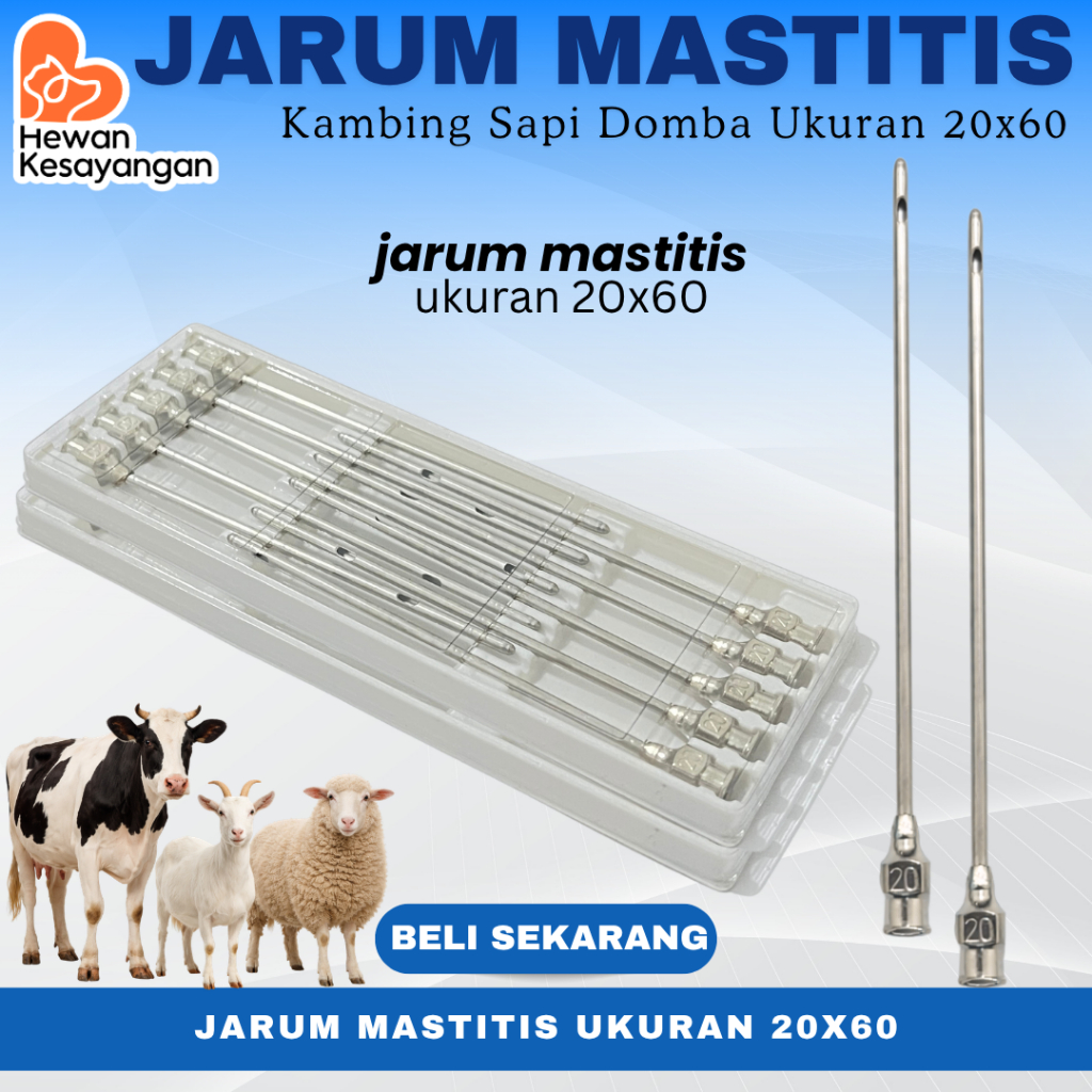 Jarum Suntik Tumpul Reusable Untuk Pengobatan Suntik Mastitis Sapi Kambing Domba 20x60