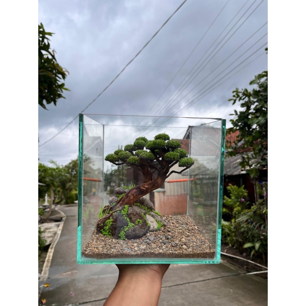 Aquascape Bonsai Mini Fullset ukuran 20x20