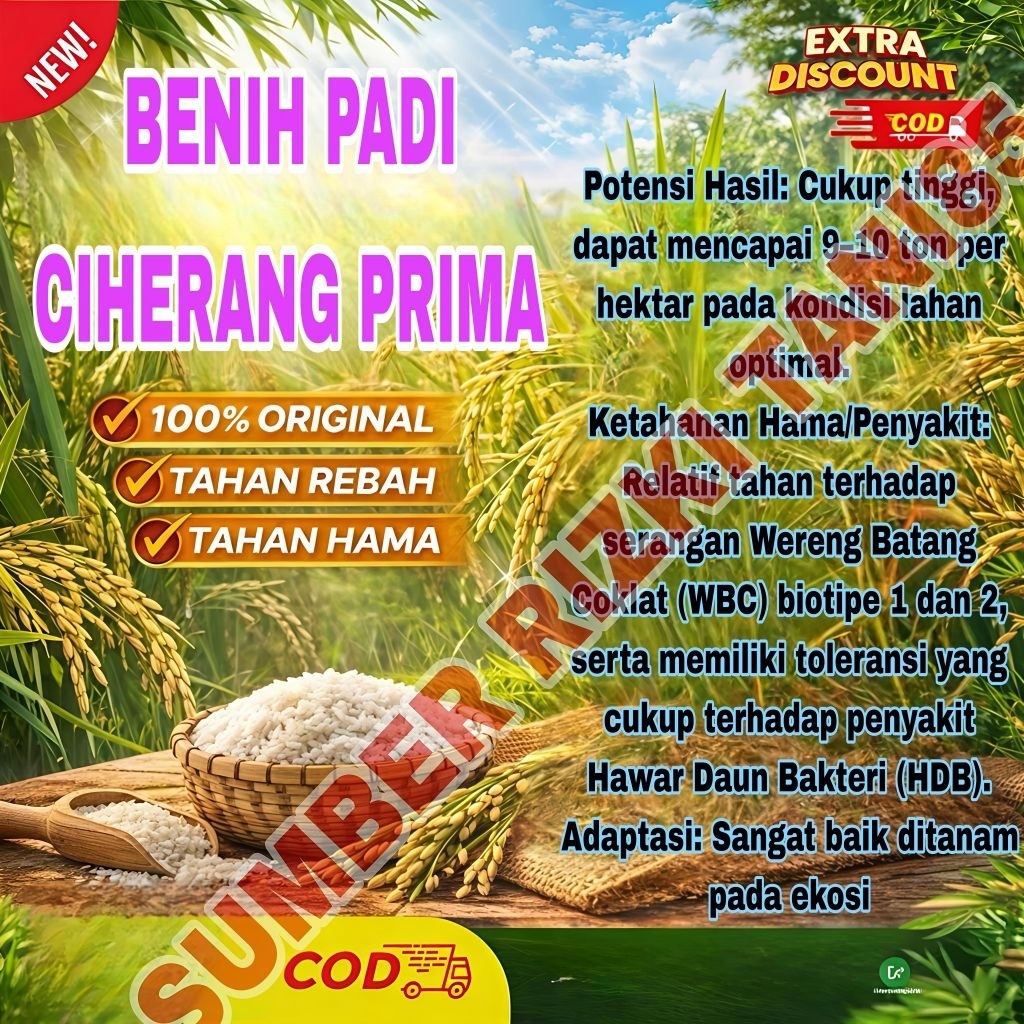 Benih Padi 5kg Ciherang Prima cekout sekarang stok terbatas