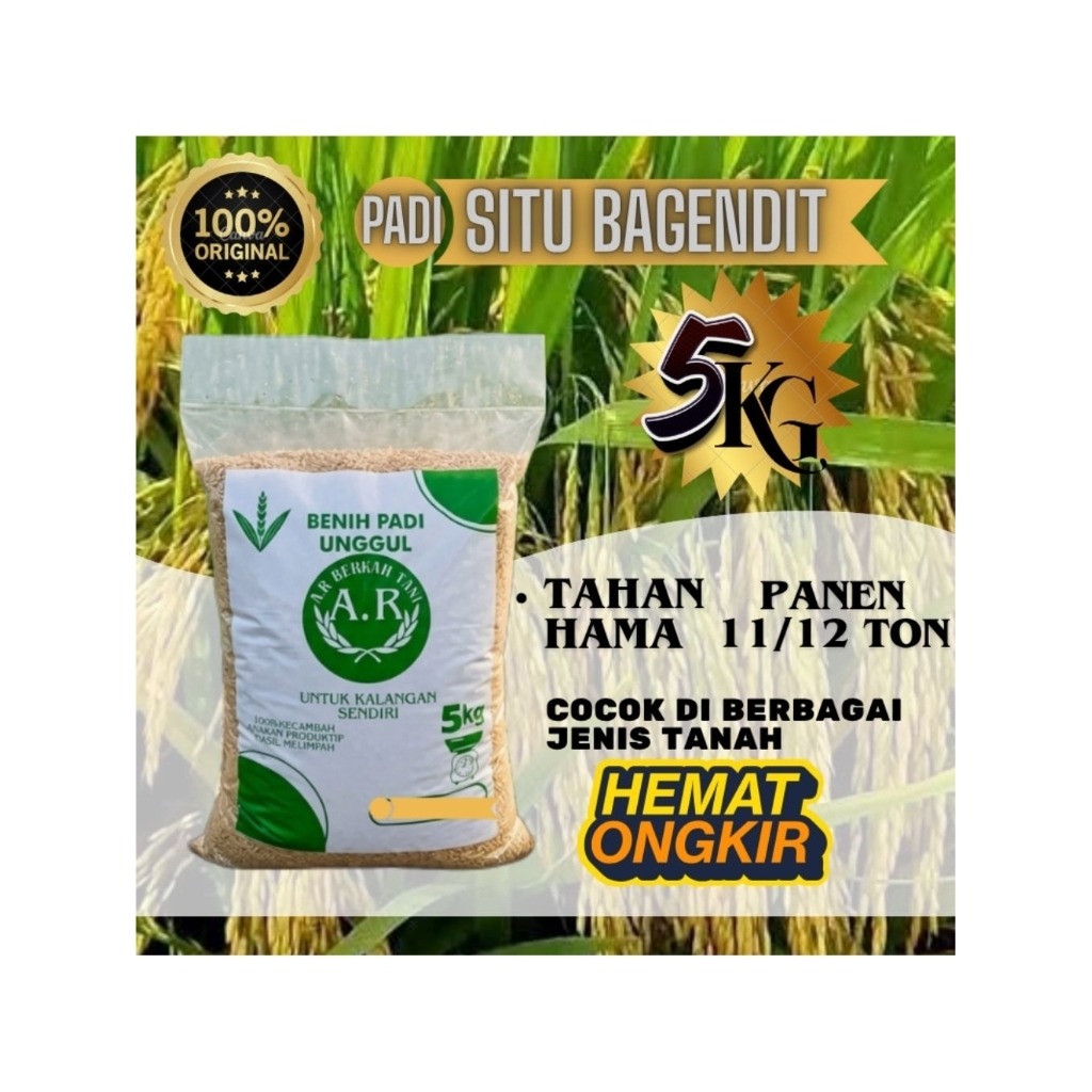 SITU BAGENDIT BIBIT PADI UNGGUL BENIH PADI BERKUALITAS PREMIUM KEMASAN 5KG