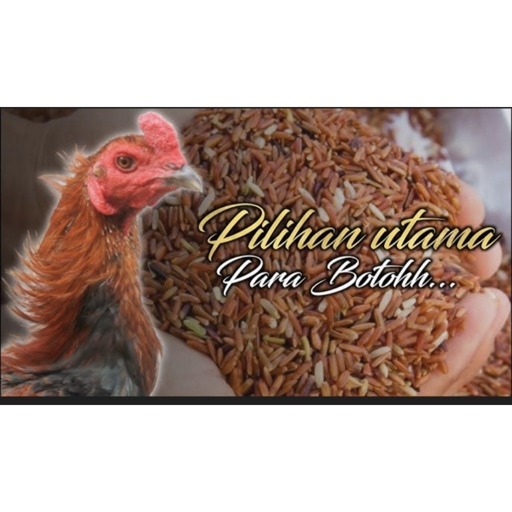 Beras merah pakan burung-ayam