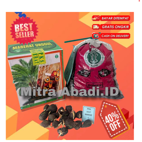 BENIH KECAMBAH POLONG SAWIT DXP PPKS MARIHAT UNGGUL ASLI MEDAN 2 kotak free sertifikat