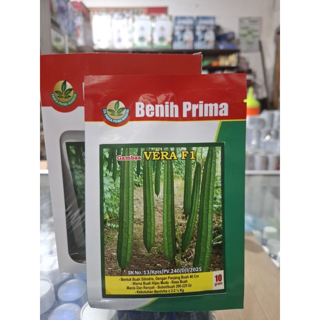 Benih Gambas/Oyong VERA F1-Benih Prima Kemasan 10gr