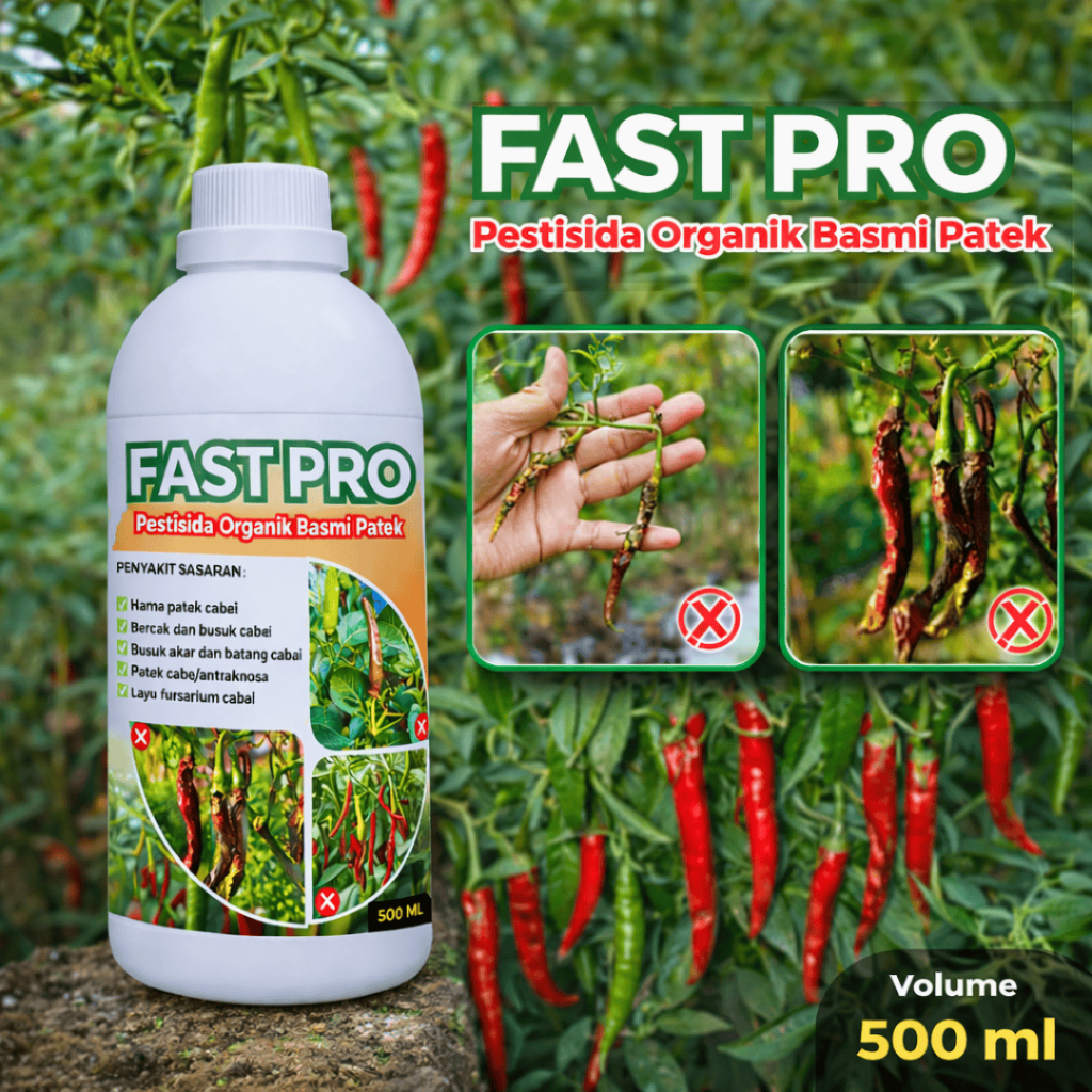 FAST PRO - Pestisida , Fungisida Organik Basmi Penyakit Patek Pada Tanaman Cabai 500 ml