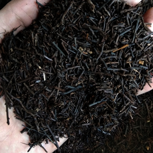 Media Tanam Organik Pakis Cacah Untuk tanaman anggrek dan bunga 1 kg toko herba tropika