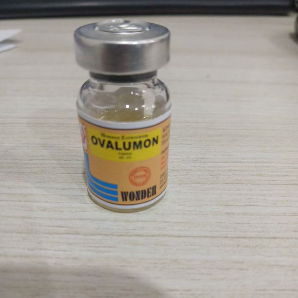 Ovalumon (hormon kelinci) jantan dan betina injeksi