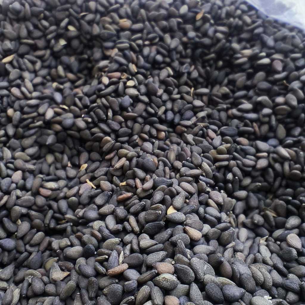 biji wijen hitam Lokal/ BLACK SESAME 500gr