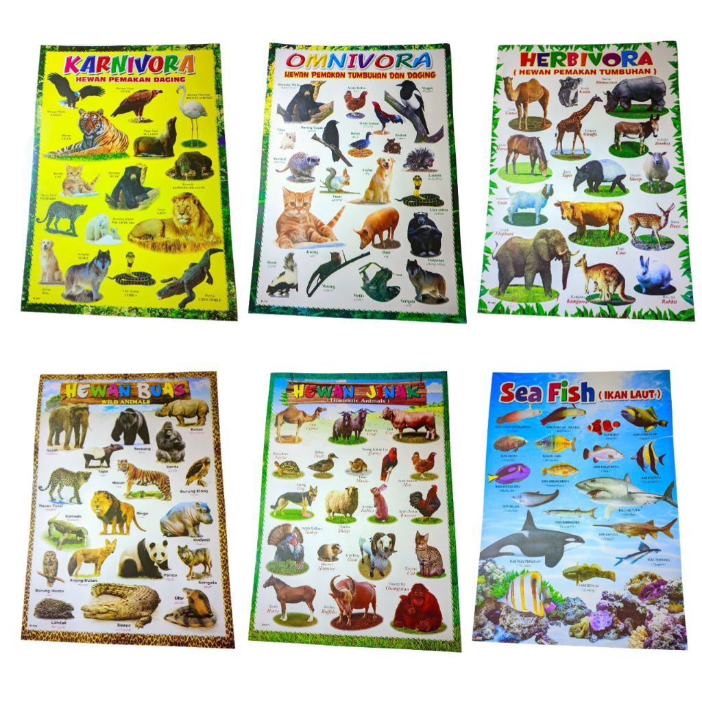 Poster Edukasi Jenis Hewan Hewan 1 Paket Isi 6 Poster, Hewan Herbivora, Hewa  Karnivora, Hewan Omniv