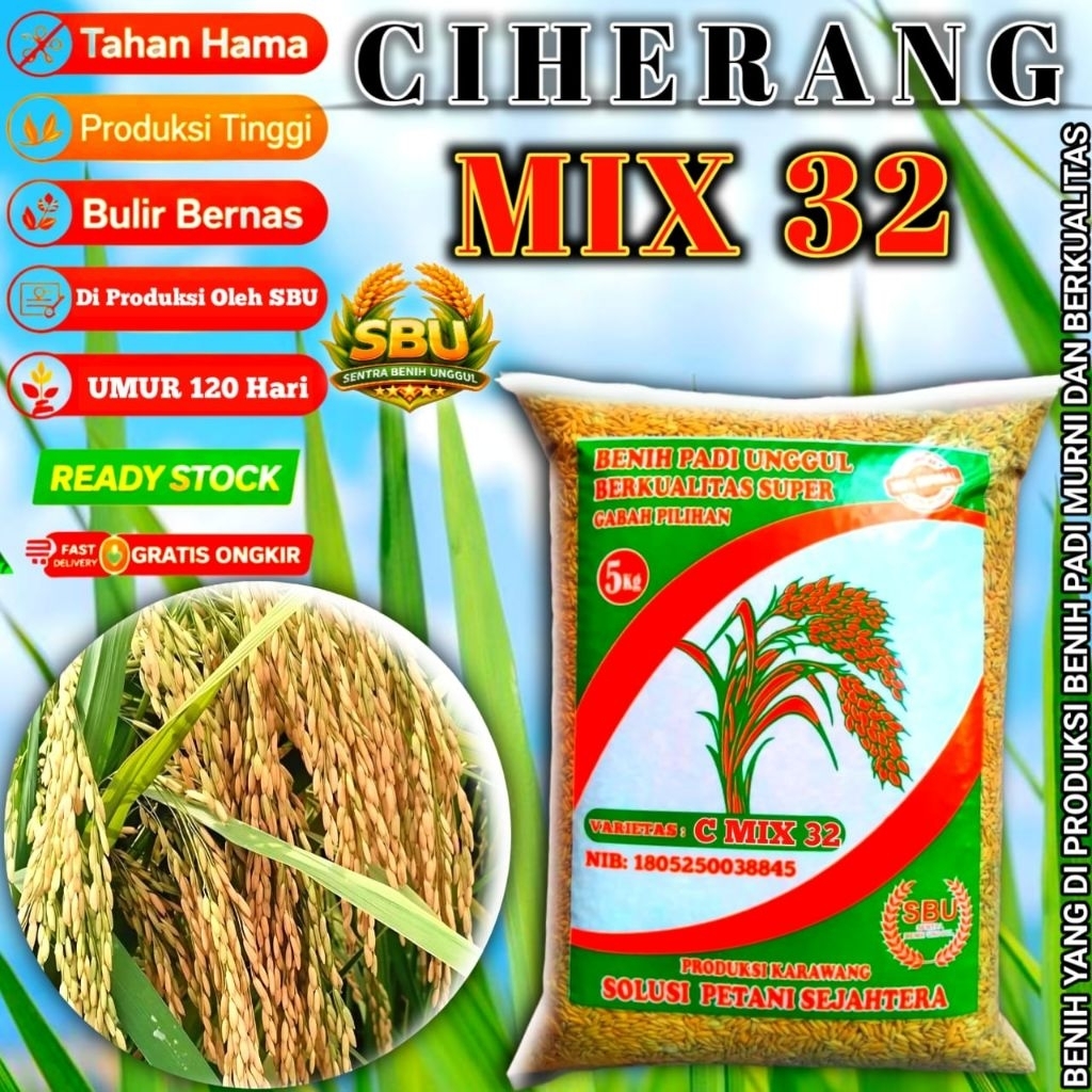 BENIH PADI CIHERANG MIX 32 GENJAH 5KG