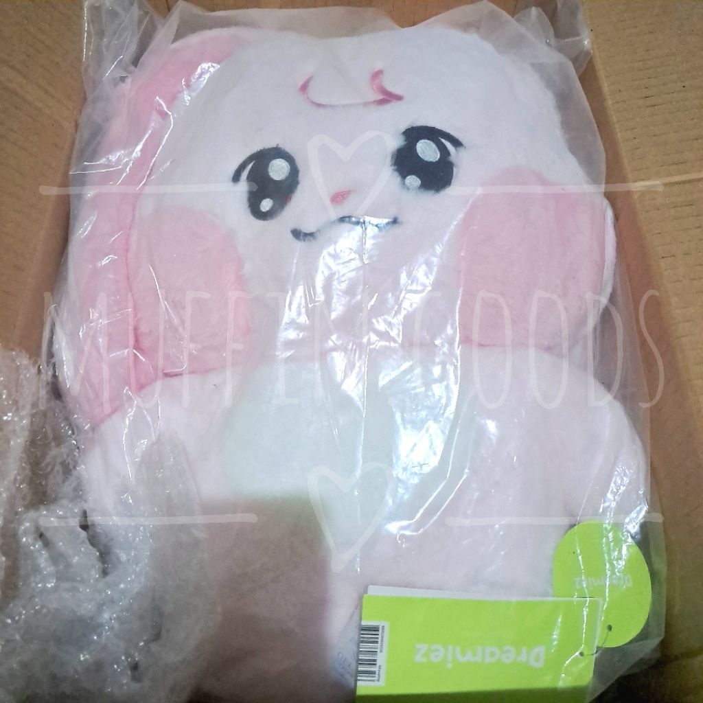 [Ready Stock] NCT DREAM BIG FLAT CUSHION KKYUPING DREAMIEZ JAEMIN LINE FRIENDS LF DOLL BONEKA PLUSH 
