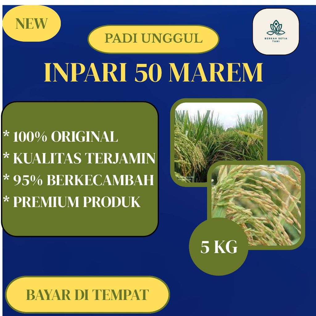 Benih padi unggul inpari 50 marem bersertifikat label ungu kemasan 5kg