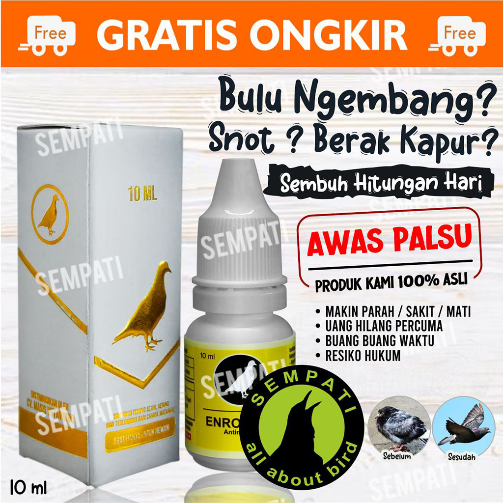 Dimastorr Sempati Enroccine Vitarest Obat Burung Meati Berak Hijau Kapur Snot Ngorok I Mikroba