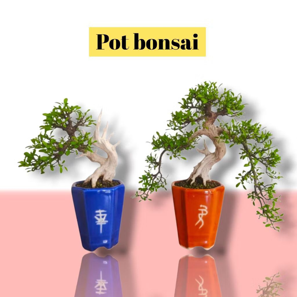 Pot bonsai keramik lukis pot bonsai shito pot tanaman hias