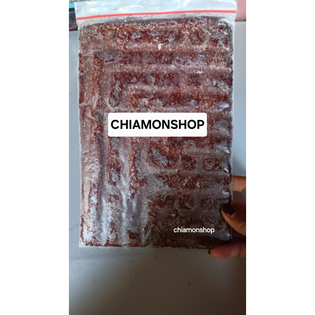 Cacing Beku Pakan Ikan